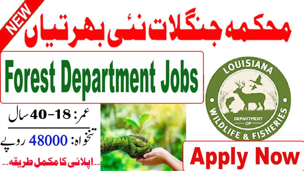 Forest Department Jobs 2024 - Online Application 