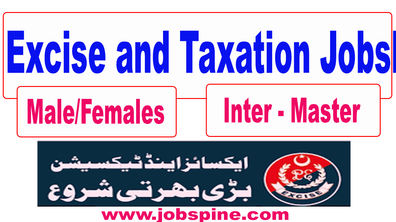 Excise and Taxation Jobs 2024 Hiring Open - Apply Online