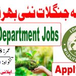 Forest Department Jobs 2024 - Online Application