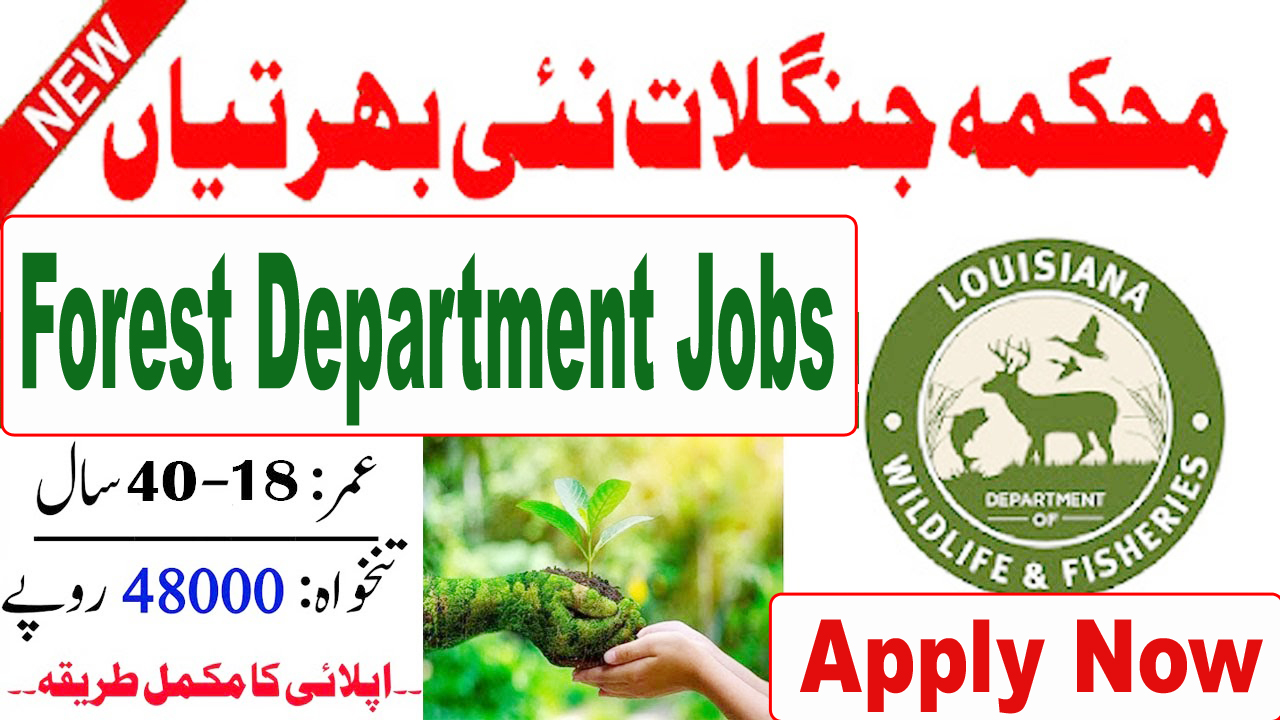 Forest Department Jobs 2024 - Online Application