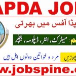 WAPDA Jobs 2024 Latest Advertisement